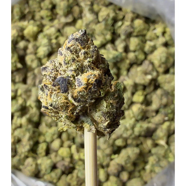 Gelato Cake Small